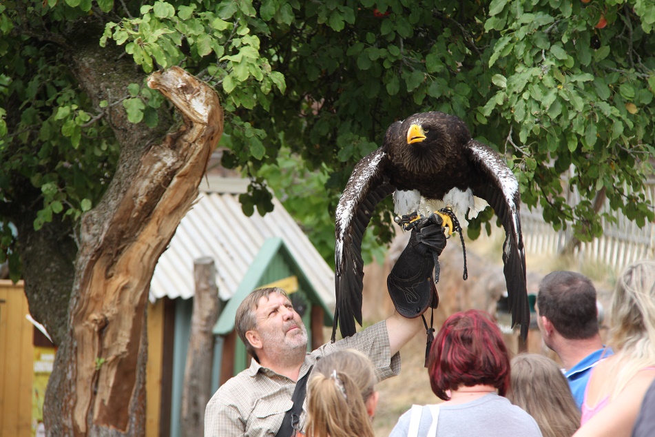 zoo20.JPG