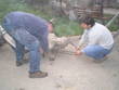 Instalace sochy