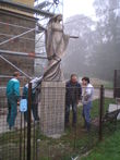 Instalace sochy