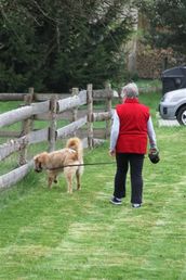 Náš pes Leon s obyvatelkou na procházce
